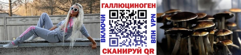 Псилоцибиновые грибы Psilocybe  Прохладный 