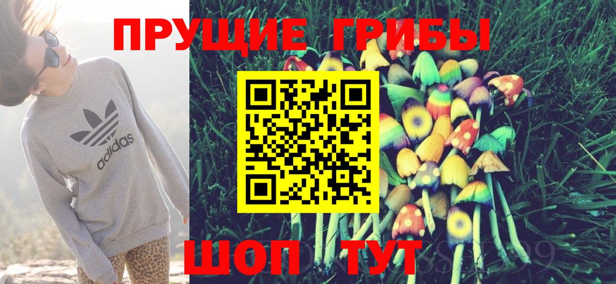 Галлюциногенные грибы MAGIC MUSHROOMS  где продают наркотики  Прохладный 
