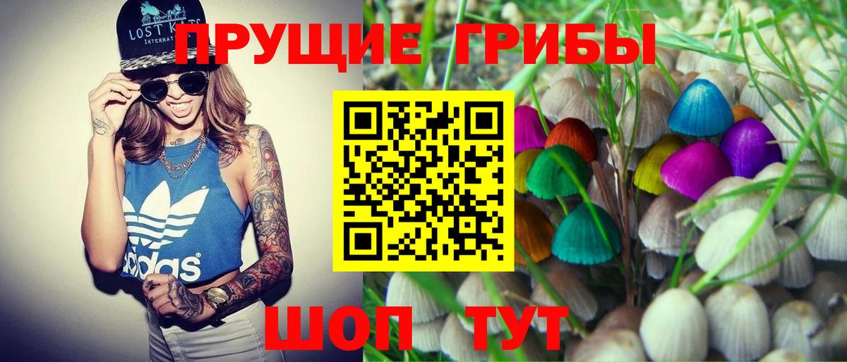 Прохладный  Псилоцибиновые грибы прущие грибы  Галлюциногенные грибы ЛСД  Вход с VPN 