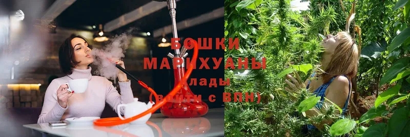 Шишки марихуана гибрид  Прохладный 