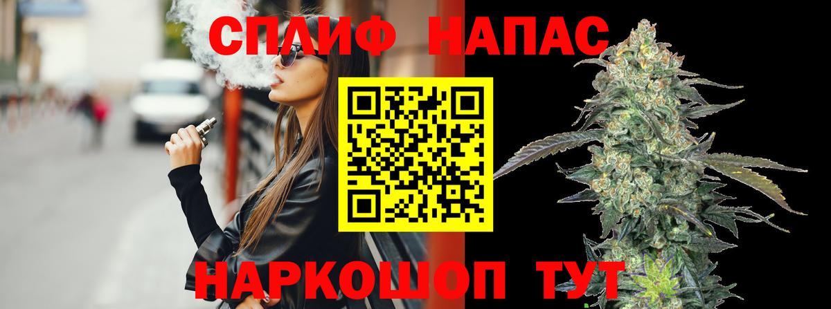 Марихуана ГИДРОПОН  Бошки марихуана MAZAR  Прохладный  Бошки марихуана Ganja 